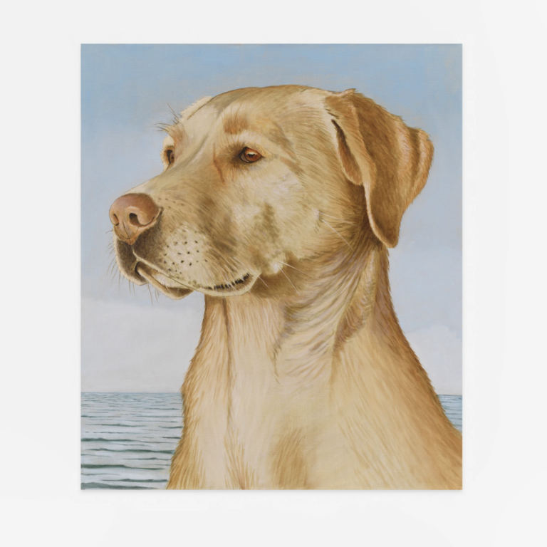 Sean Landers, Yellow Lab, 2022 © Timothy Taylor