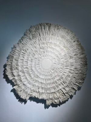 Federico Ferrarini - Atomica