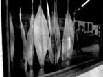 Vetrina #01, Marie Denis, Spathes, Vino Vero, Venezia, 2021. Courtesy of Alberta Pane Gallery. Ph. Marie Denis