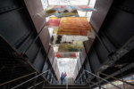 Courtesy the High Line. Photo Tim Shenck, Austin Kennedy and Liz Ligon