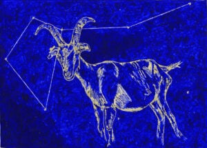 Animali Celesti