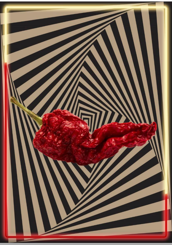 Lidia Di Giorgio – Top Art