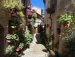 Spello, Umbria, 2022. Photo Emma Sedini