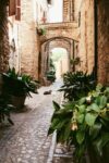 Spello, Umbria. Photo via Unsplash
