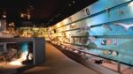 Museo di Storia Naturale di Verona