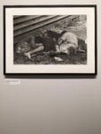 Ernest Cole House of Bondage exhibition, Photographers Gallery. Photo Francesca Pompei