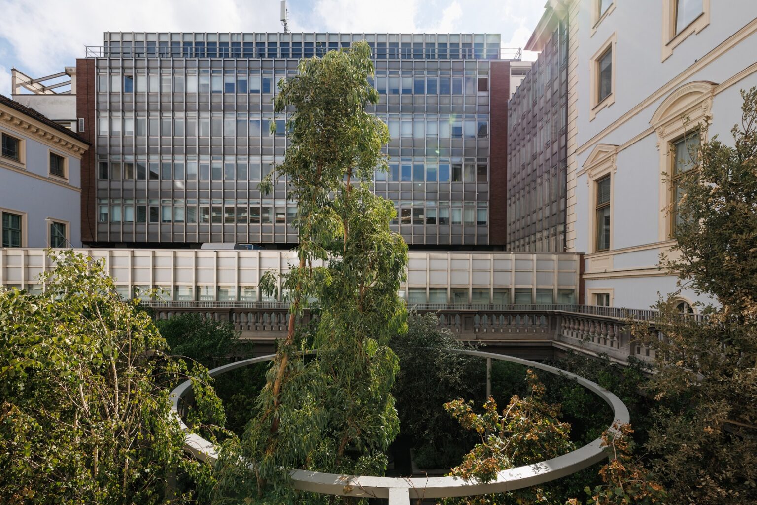 Nasce un bosco urbano alle Gallerie d'Italia a Torino