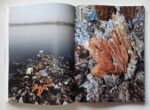 Bright Ecologies. Caretto Spagna Experiences, Forms, Materials (Viaindustriae publishing - Les presses du réel, 2024)