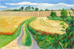 &Egrave; morto David Hockney, il celebre pittore britannico che ha rivoluzionato il modo di guardare