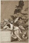 Goya, Il sonno della ragione genera mostri