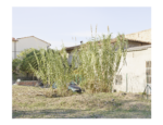 Maurizio Montagna, Paraergon, 2018. Courtesy l'autore