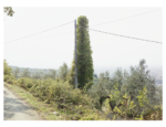 Maurizio Montagna, Paraergon, 2018. Courtesy l'autore