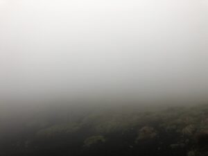 Sognare da svegli - la resilienza dell’arte