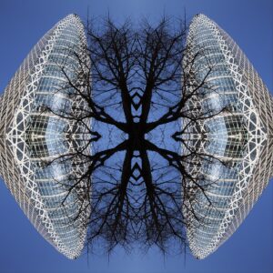 Virginio Favale - Tokyo 365