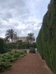 Orto Botanico Valencia, ph Claudia Zanfi