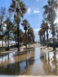 Lungomare di Valencia, ph Claudia Zanfi