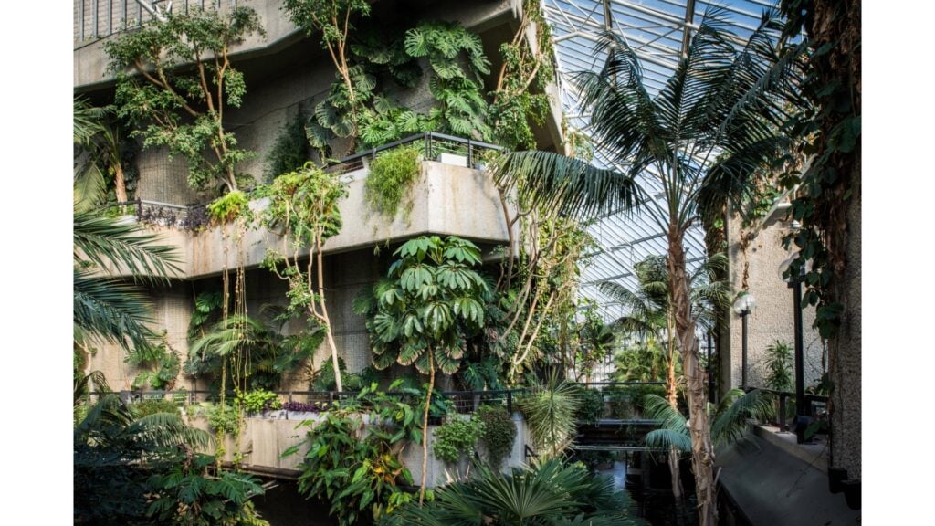 Il Barbican Conservatory di Londra sarà restaurato e regala le talee della sua serra