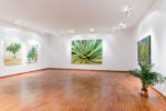 02 antonio bardino il respiro delle piante 2024 vista della mostra casa cavazzini udine foto nico covre A Udine una mostra per parlare di ambiente e partecipazione collettiva