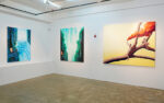 Hidden Lights di Geppy Pisanelli da GR Gallery a New York