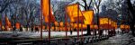 The Gates, Central Park, New York City, 1979-2005 — Photo: Wolfgang Volz © 2005 Christo and Jeanne-Claude Foundation