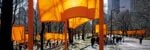 The Gates, Central Park, New York City, 1979-2005 — Photo: Wolfgang Volz © 2005 Christo and Jeanne-Claude Foundation