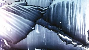 S.O.M.A. Arte e Neuroscienze