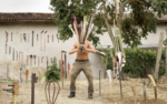 Grasso, Bastoni