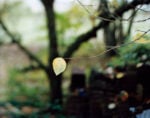 Guido Guidi, Ronta, 2019, Stampa a contatto C-print, cm 41,5 x 46,5 © Guido Guidi, courtesy Viasaterna