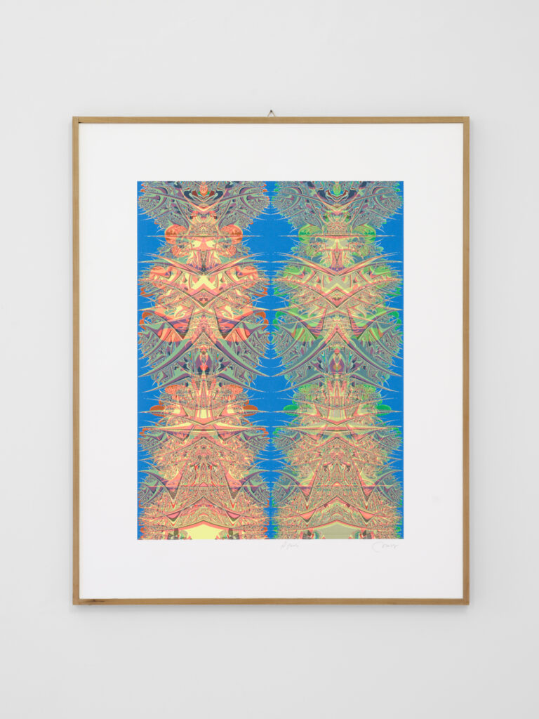 Nuvolo, Senza titolo [A.M.(6)] (Aftermandelbrot), 1991. 12 battute serigrafiche su carta Rosaspina Fabriano, 64,5 x 48,5 cm. Palazzo Collicola, Spoleto. Photo Giuliano Vaccai