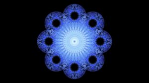 Nicola Evangelisti / Silvia Serenari - Quantum Flower