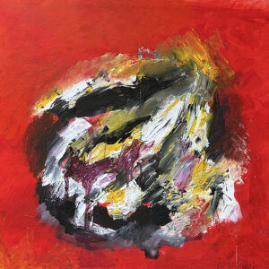 Elio Waschimps - Inquiete presenze. Teschi ombre