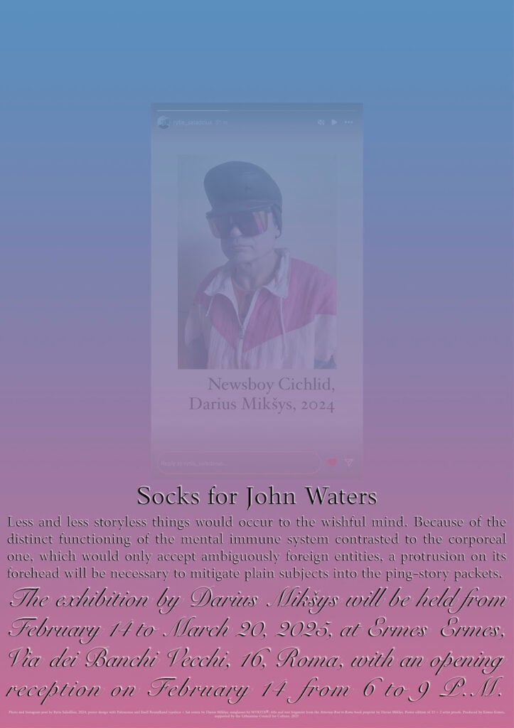 Darius Mikšys – Socks For John Waters