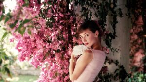 Norman Parkinson - Always in Fashion