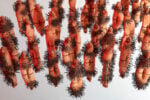 Belinda Kazeem-Kamiński, Untitled (Lash. Linger. Load/Nkisi), 2025. Courtesy the artist. Foto Ivo Corrà