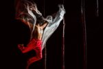 SONGS OF THE BULBUL by Aakash Odedra Company - ph. Angela Grabowska-min