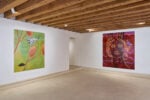 Mattia Sinigaglia. Installation view con Saliva. Foto Clelia Cadamuro