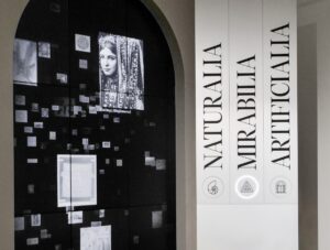 Palazzo Treccani