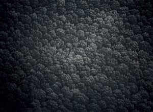 Franco Passalacqua - Au clair de lune. 2000-2025