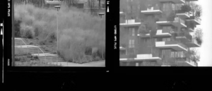 Ramak Fazel - All the Feels, within an Evolving Landscape