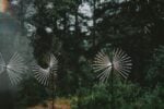 Studio Noké - Drifting Clouds - Sofia Lambrou - Katharina Sook Wilting