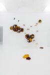 Tomás Saraceno, Animale, installation view at Pinksummer, Genova, 2025. Courtesy Studio Saraceno and Pinksummer. Photo Alice Moschin