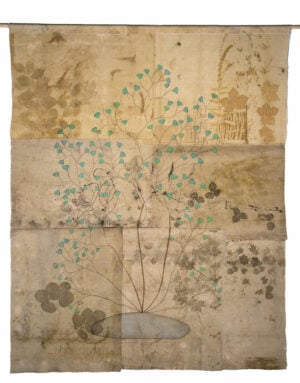 Silvia Beccaria / Anna Roberti - Frammenti di natura