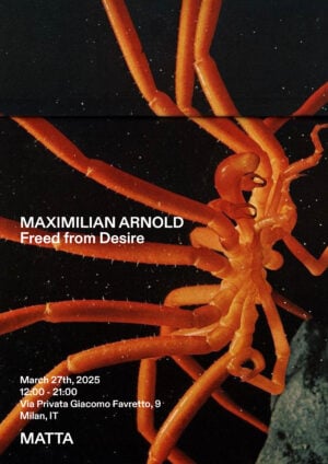 Maximilian Arnold - Freed from Desire