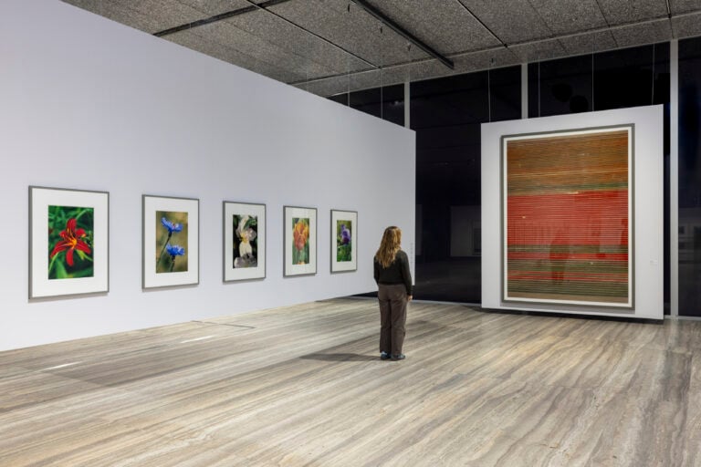 Installation view “Typologien: Photography in 20th-century Germany”, Curata da Susanne Pfeffer Foto: Roberto Marossi, Courtesy Fondazione Prada, Thomas Struth, Single Red Lily - No° 51, Düsseldorf 1993, C-print, Viehof Collection Thomas Struth, Two Cornflowers - No° 63, Düsseldorf 1993, C-print Viehof Collection Thomas Struth, White Magnolia, No° 20, Winterthur 1992 C-print, Courtesy of the artist Thomas Struth, Single Orange-Violet Tulip - No° 30, Winterthur 1992, C-print, Courtesy of the artist Thomas Struth, Flower of a Hollyhock - No° 57, Düsseldorf 1993, C-print, Viehof Collection Andreas Gursky, Untitled XVIII, 2015, Inkjet print Atelier Andreas Gursky, by SIAE 2025