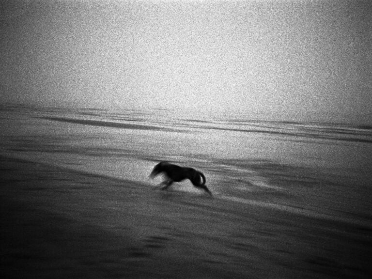 Essere street photographer. Intervista a Federico Arcangeli 