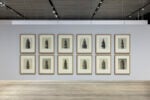 Immagine della mostra “Typologien: Photography in 20th-century Germany”, Curata da Susanne Pfeffer Foto: Roberto Marossi, Courtesy Fondazione Prada, Karl Blossfeldt Equisetaceae – Schachtelhalmgewächse. Equisetum hyemale [Equisetaceae – Famiglia dell’equiseto. Equisetum hyemale / Equisetaceae – Horsetail family. Equisetum hyemale]. ante / before 1926 – s.d. / n.d. 12 stampe alla gelatina d’argento / 12 gelatin silver prints Courtesy of Berlin University of the Arts, Archive – Karl Blossfeldt Collection in cooperation with Die Photographische Sammlung/SK Stiftung Kultur, Cologne