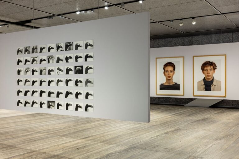 Immagine della mostra “Typologien: Photography in 20th-century Germany”, Curata da Susanne Pfeffer Foto: Roberto Marossi, Courtesy Fondazione Prada, Jochen Lempert The Skins of Alca Impennis, 1992-2022 [Le pelli di alca impenne] Stampe alla gelatina d’argento su carta baritata / Gelatin silver prints on bartya paper 54 elementi / 54 parts Stampe d’artista / Artist prints Edizione di 5 / Edition of 5 Courtesy of Jochen Lempert, BQ, Berlin, and ProjecteSD, Barcelona, by SIAE 2025 Thomas Ruff Porträt (Petra Lappert), 1987 [Ritratto (Petra Lappert) / Portrait (Petra Lappert)] Stampa cromogenica laminata su vetro acrilico / C-print laminated on acrylic glass MUSEUM MMK FÜR MODERNE KUNST, Frankfurt am Main, © Thomas Ruff, by SIAE 2025 Thomas Ruff Porträt (Simone Buch), 1988 [Ritratto (Simone Buch) / Portrait (Simone Buch)] Stampa cromogenica laminata su vetro acrilico / C-print laminated on acrylic glass MUSEUM MMK FÜR MODERNE KUNST, Frankfurt am Main, © Thomas Ruff, by SIAE 2025