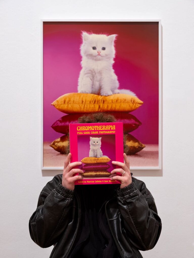 Chromotherapia, installation view with catalogue at Villa Medici, Roma, Photo Daniele Molajoli