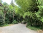Parco del Castello di Miradolo, ph Claudia Zanfi