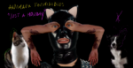 Donato Sansone, animaux formidables, 2023, compositing digitale